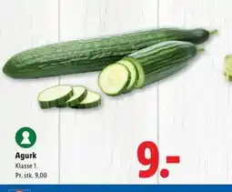 Lidl Agurk tilbud