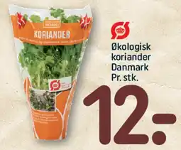 REMA 1000 Økologisk koriander tilbud