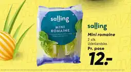 Bilka Salling Mini romaine tilbud