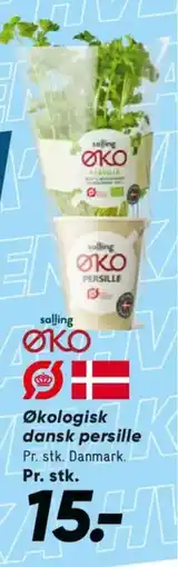 Bilka Økologisk dansk persille tilbud