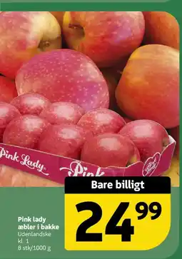 Løvbjerg Pink lady æbler i bakke tilbud
