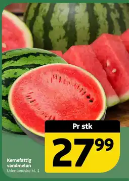 Løvbjerg Kernefattig vandmelon tilbud