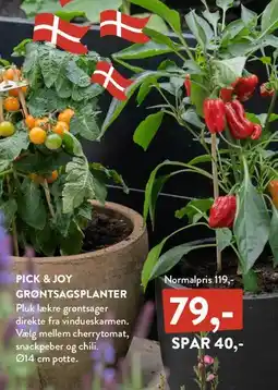 Plantorama Pick & Joy grøntsagsplanter tilbud