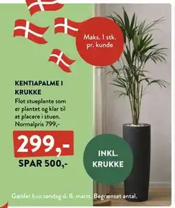 Plantorama KENTIAPALME I KRUKKE tilbud