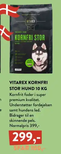 Plantorama VITAREX KORNFRI STOR HUND 10 KG tilbud