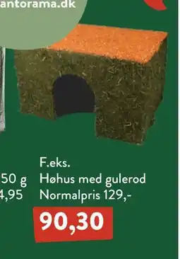 Plantorama Høhus med gulerod tilbud