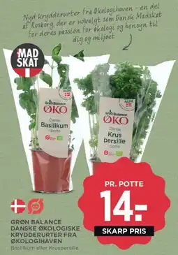 MENY Grøn Balance økologiske krydderurter tilbud