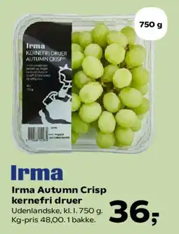 SuperBrugsen Irma Autumn Crisp kernefri druer tilbud