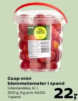 SuperBrugsen Coop mini blommetomater i spand tilbud