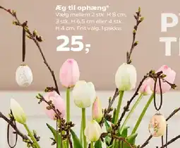 SuperBrugsen Æg til ophæng tilbud