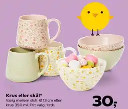 SuperBrugsen Krus eller skål tilbud