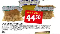 jem & fix LÆGGEKARTOFLER tilbud