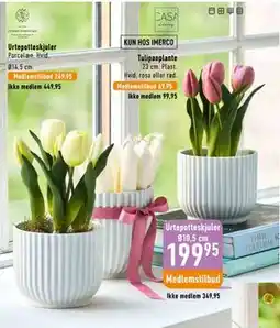 Imerco Urtepotteskjuler, Medlemspris tilbud