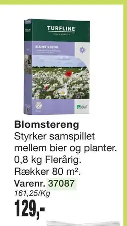 Harald Nyborg Blomstereng tilbud