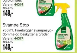 Harald Nyborg Svampe Stop tilbud