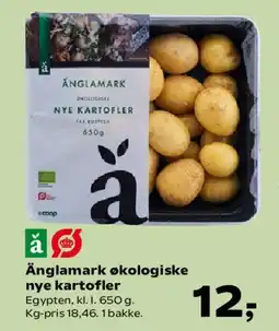 Kvickly Ånglamark økologiske nye kartofler tilbud