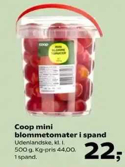 Kvickly Coop mini blommetomater i spand tilbud