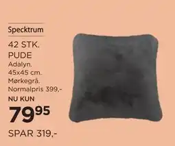 Salling 42 STK. PUDE tilbud