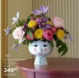 Salling URTEPOTTESKJULER tilbud