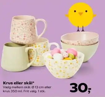 Kvickly Krus eller skål tilbud