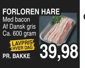 Forloren hare