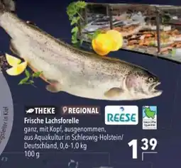 Citti Frische Lachsforelle tilbud