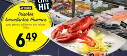 Citti Frischer kanadischer Hummer tilbud