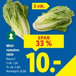Lidl Mini- romaine- salat tilbud