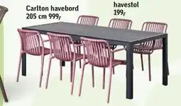 Føtex Carlton havebord 205 cm tilbud