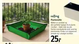 Føtex Plantemåtte tilbud