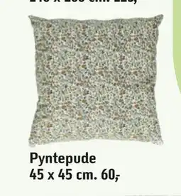 Føtex Pyntepude tilbud