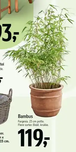 Føtex Bambus tilbud