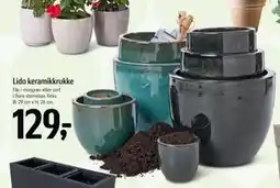 Føtex Lido keramikkrukke tilbud