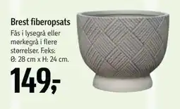 Føtex Brest fiberopsats tilbud
