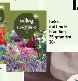 Føtex duftende blanding tilbud