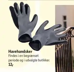 Føtex Havehandsker tilbud
