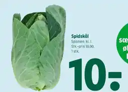 Coop 365 Spidskål tilbud