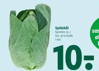 Coop 365 Spidskål tilbud