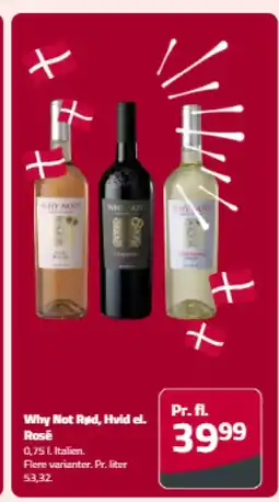 Fleggaard Why Not Rød, Hvid el. Rose tilbud