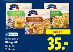Lidl DUC DE COEUR Mini-gratin tilbud