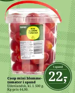 Dagli'Brugsen Coop mini blommetomater i spand tilbud