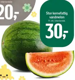 Føtex Stor kernefattig vandmelon tilbud