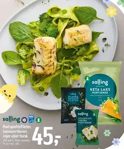 Føtex Salling - lakseportioner / fiskeprodukter (katalogbillede) tilbud
