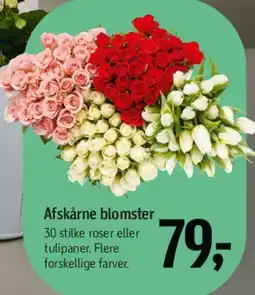 Føtex Afskårne blomster tilbud