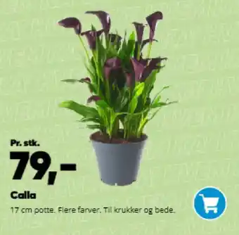 Bilka Calla tilbud