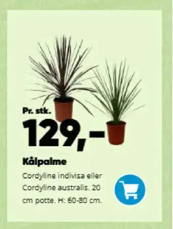 Bilka Kȧlpalme tilbud