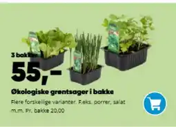 Bilka Økologiske grøntsager i bakke tilbud