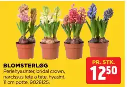 jem & fix Blomsterløg tilbud