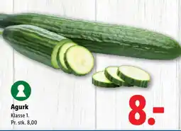 Lidl Agurk tilbud