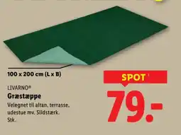 Lidl LIVARNOⓇ Græstæppe tilbud